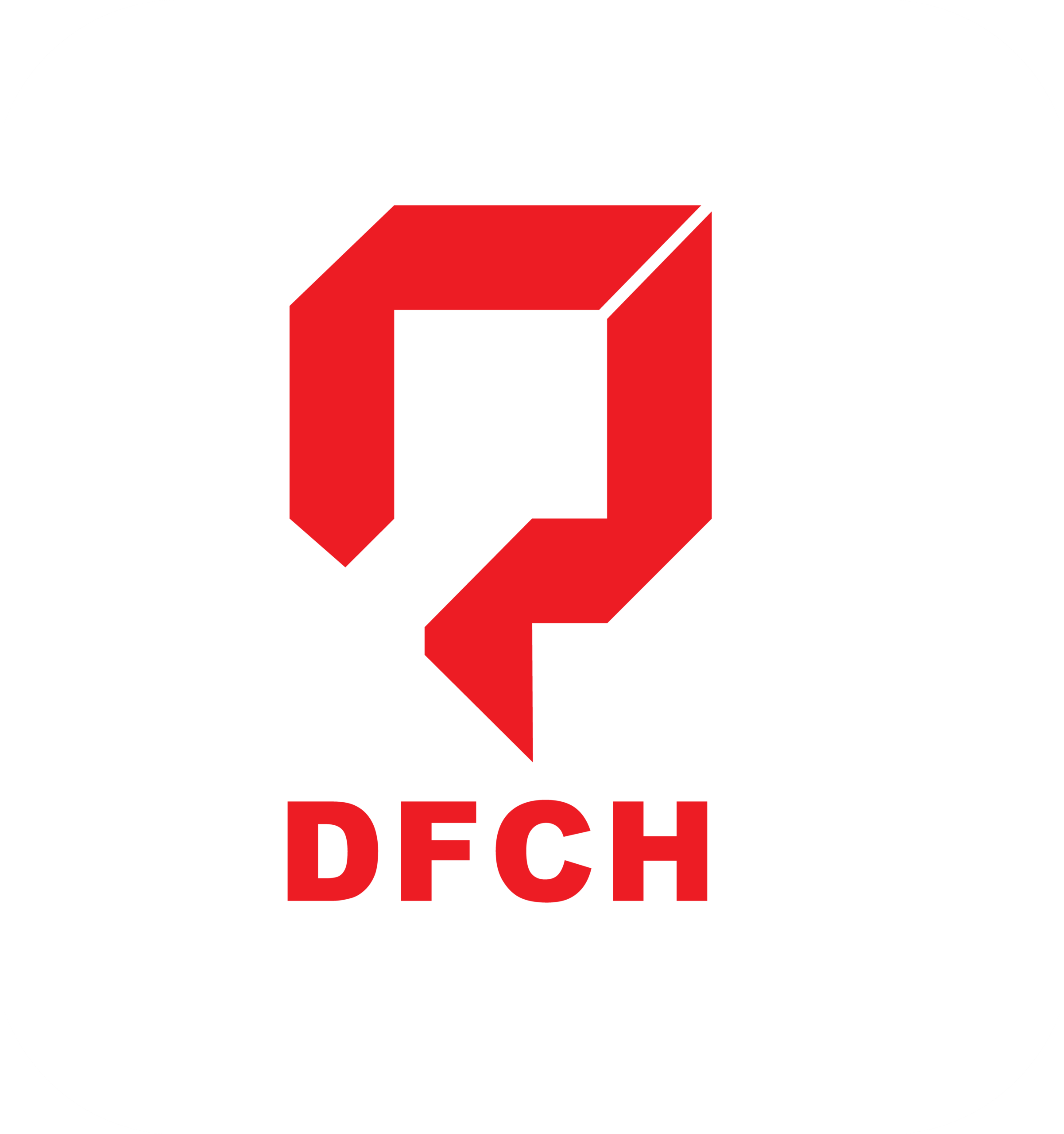 logo-DFCH